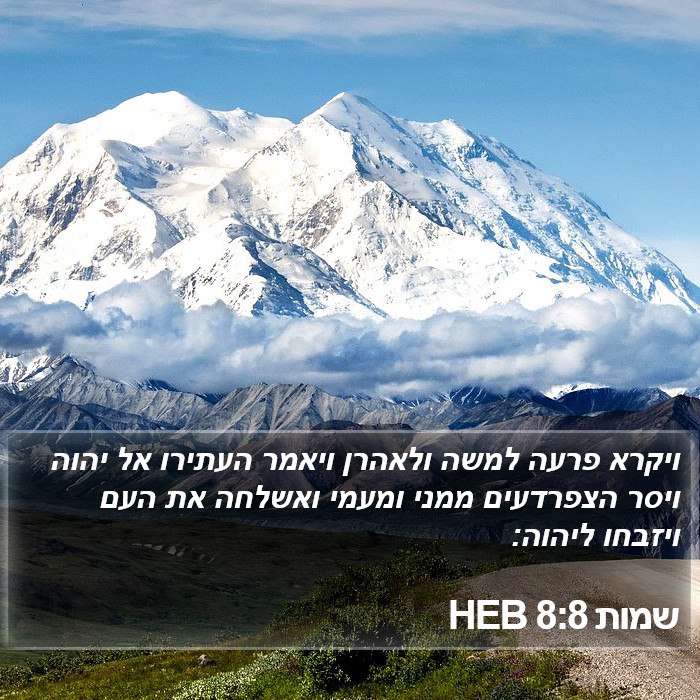 שמות 8:8 HEB Bible Study