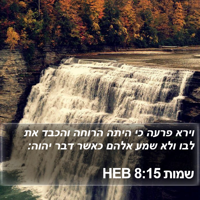 שמות 8:15 HEB Bible Study