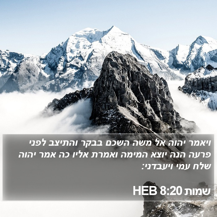 שמות 8:20 HEB Bible Study