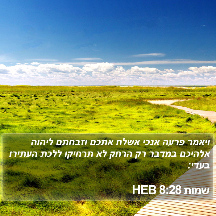 שמות 8:28 HEB Bible Study