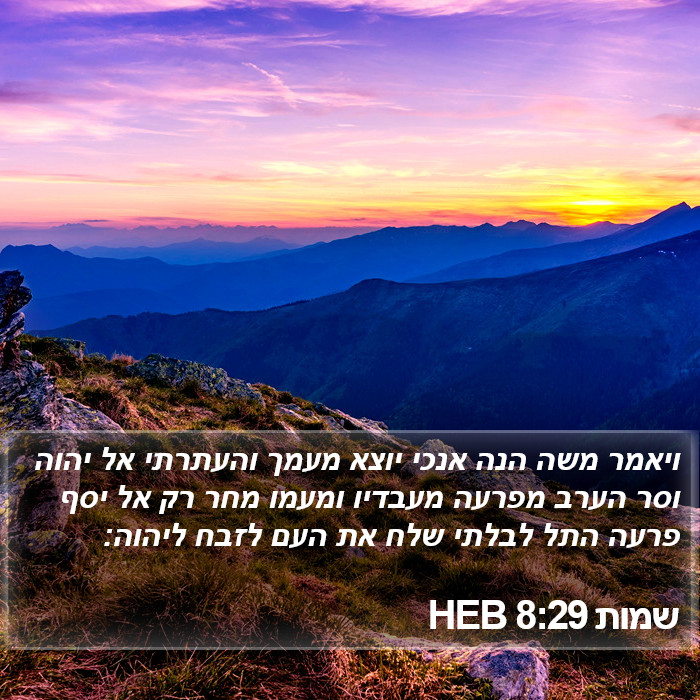 שמות 8:29 HEB Bible Study