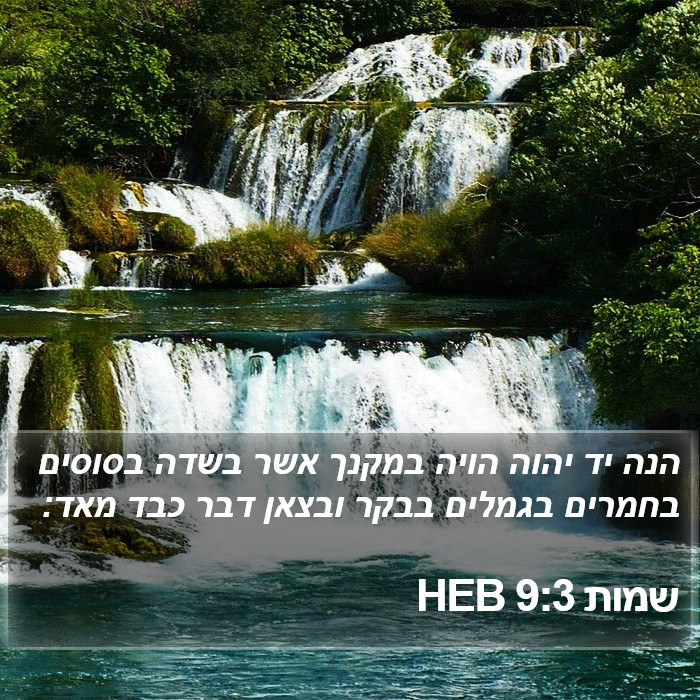 שמות 9:3 HEB Bible Study