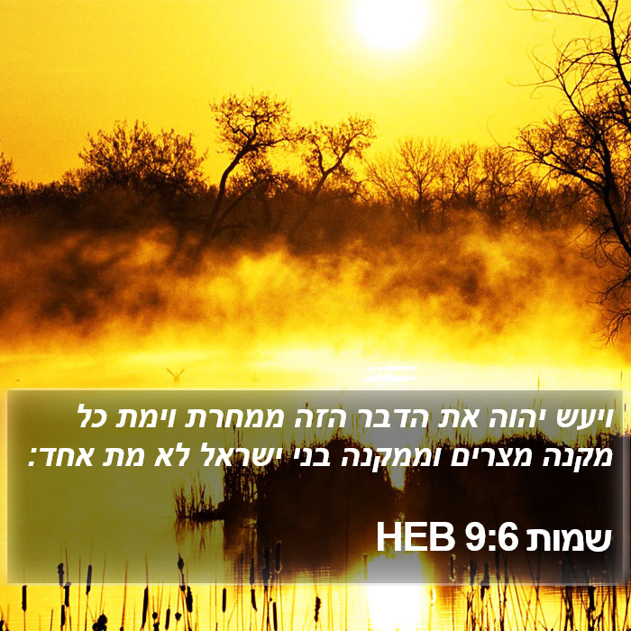 שמות 9:6 HEB Bible Study