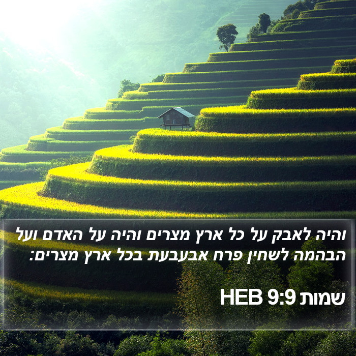 שמות 9:9 HEB Bible Study