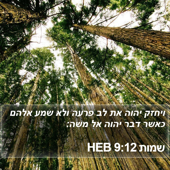 שמות 9:12 HEB Bible Study