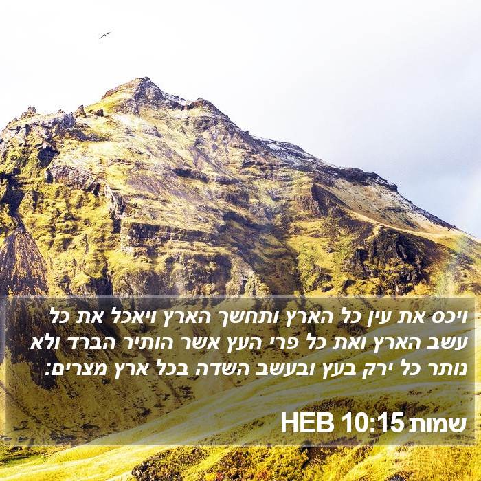 שמות 10:15 HEB Bible Study