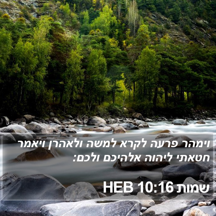 שמות 10:16 HEB Bible Study