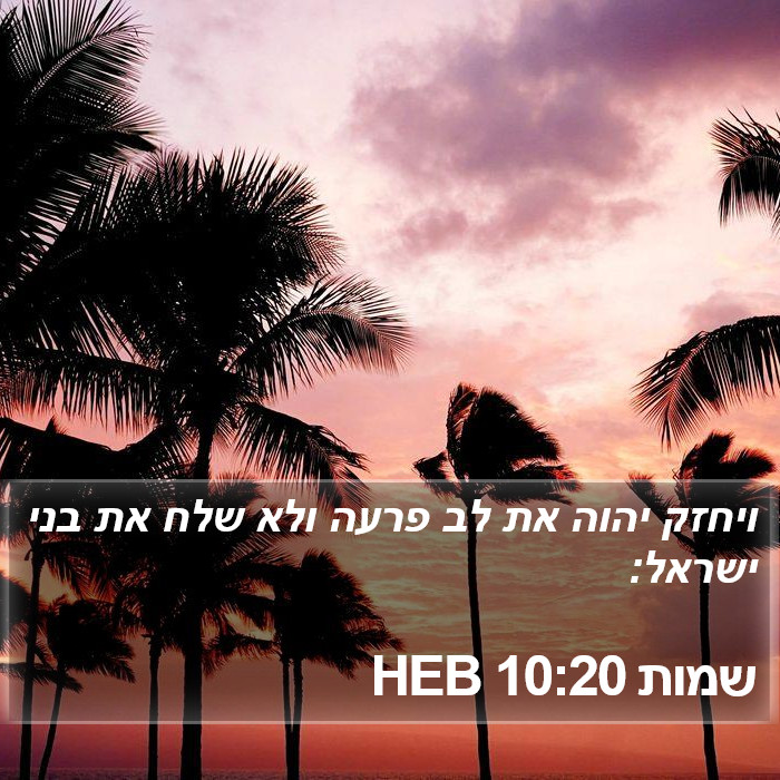 שמות 10:20 HEB Bible Study