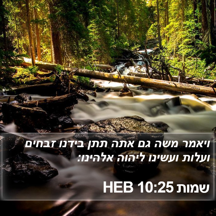 שמות 10:25 HEB Bible Study