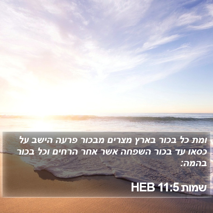 שמות 11:5 HEB Bible Study