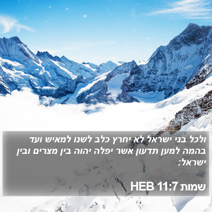 שמות 11:7 HEB Bible Study