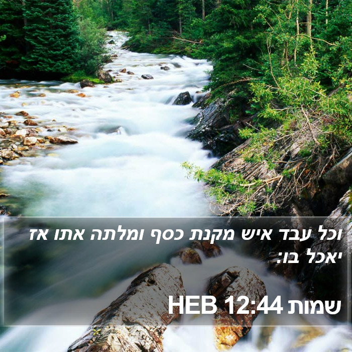 שמות 12:44 HEB Bible Study