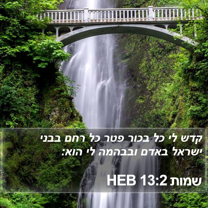 שמות 13:2 HEB Bible Study