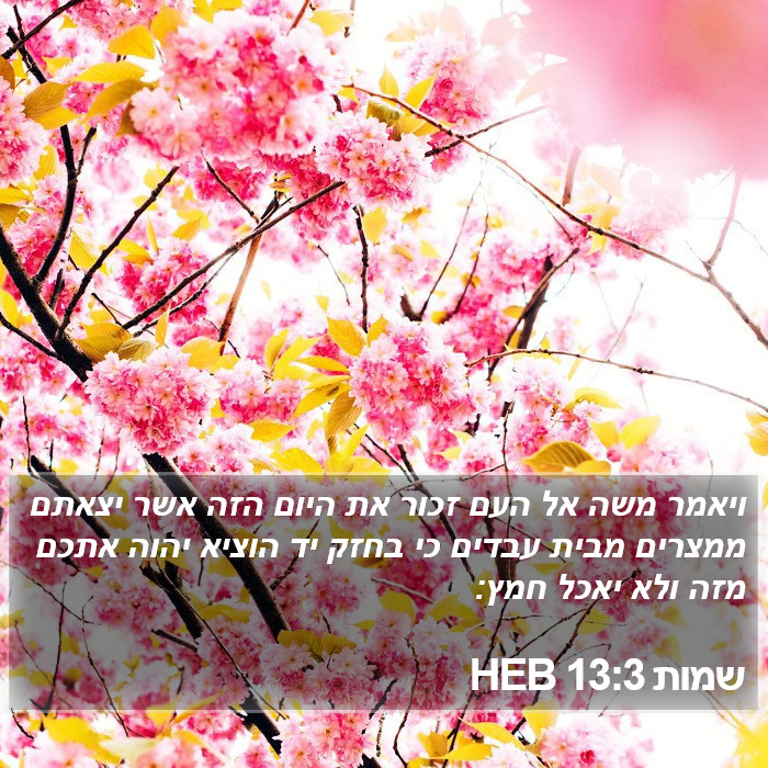 שמות 13:3 HEB Bible Study