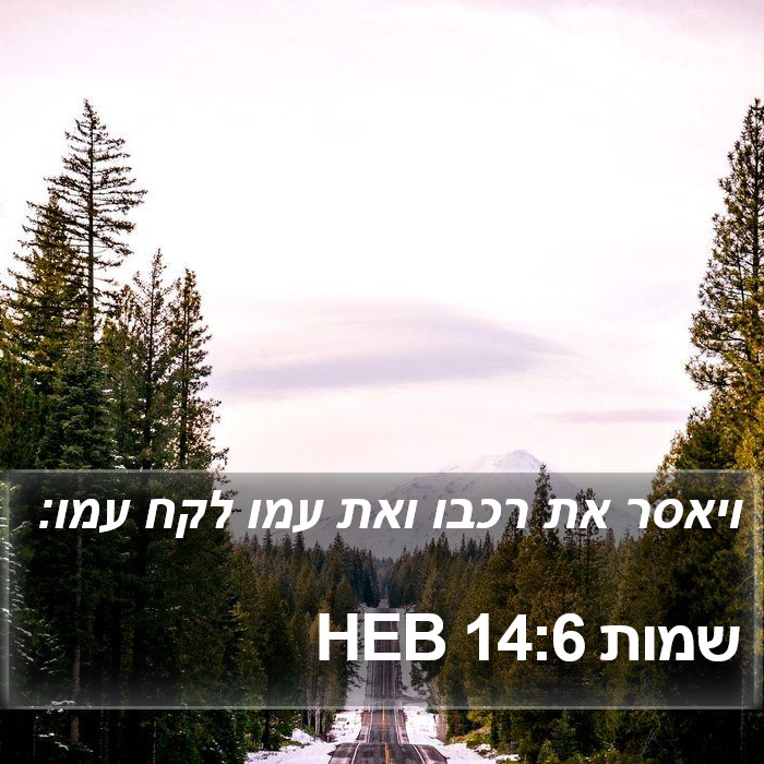 שמות 14:6 HEB Bible Study