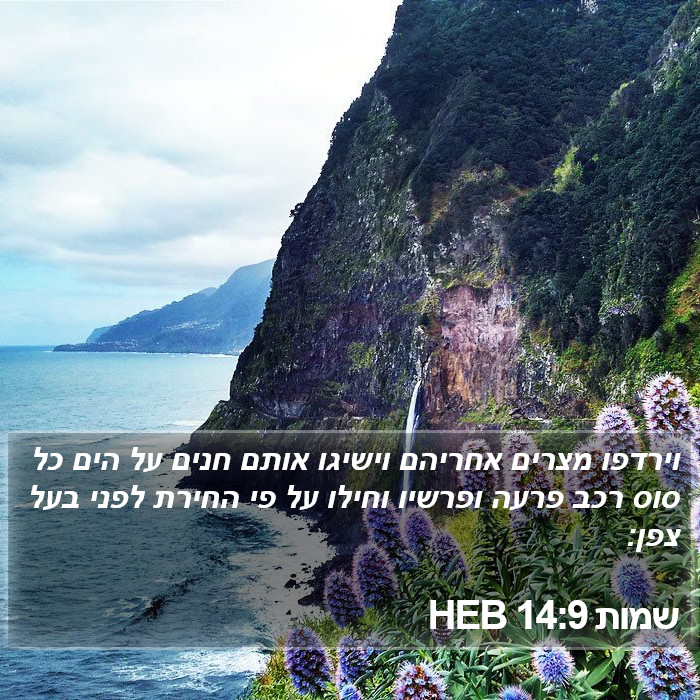 שמות 14:9 HEB Bible Study