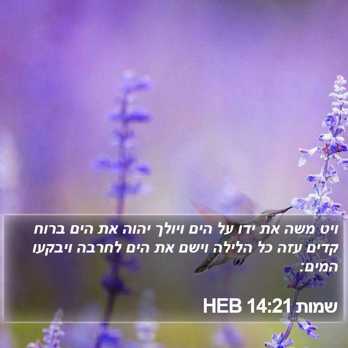 שמות 14:21 HEB Bible Study