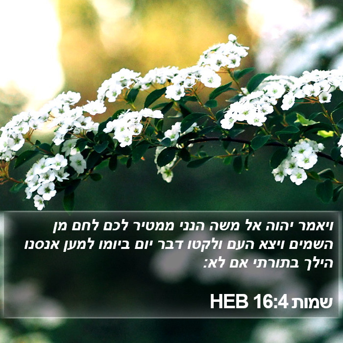 שמות 16:4 HEB Bible Study