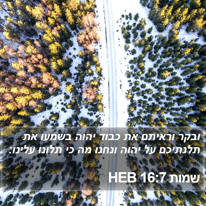 שמות 16:7 HEB Bible Study