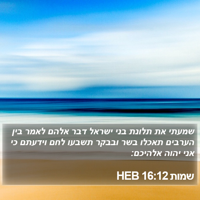 שמות 16:12 HEB Bible Study