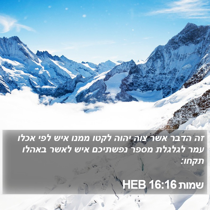 שמות 16:16 HEB Bible Study