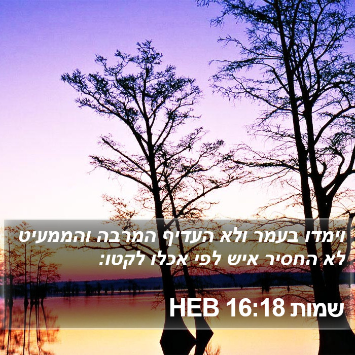 שמות 16:18 HEB Bible Study