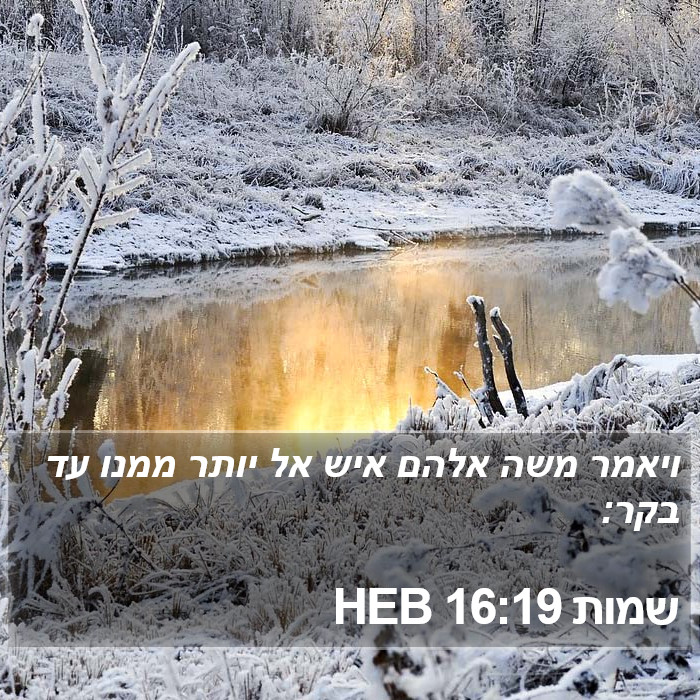 שמות 16:19 HEB Bible Study