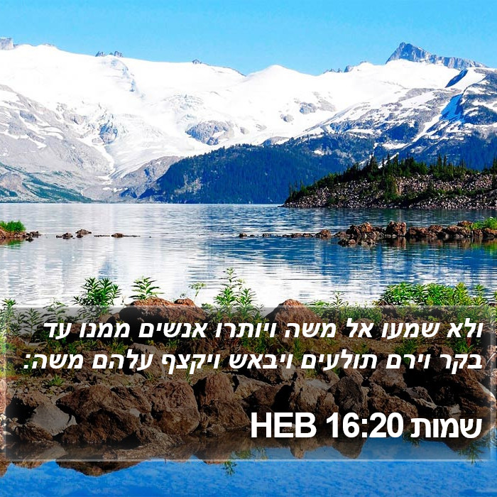 שמות 16:20 HEB Bible Study