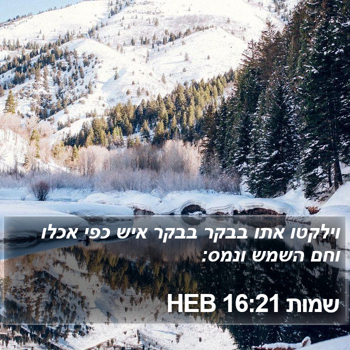 שמות 16:21 HEB Bible Study