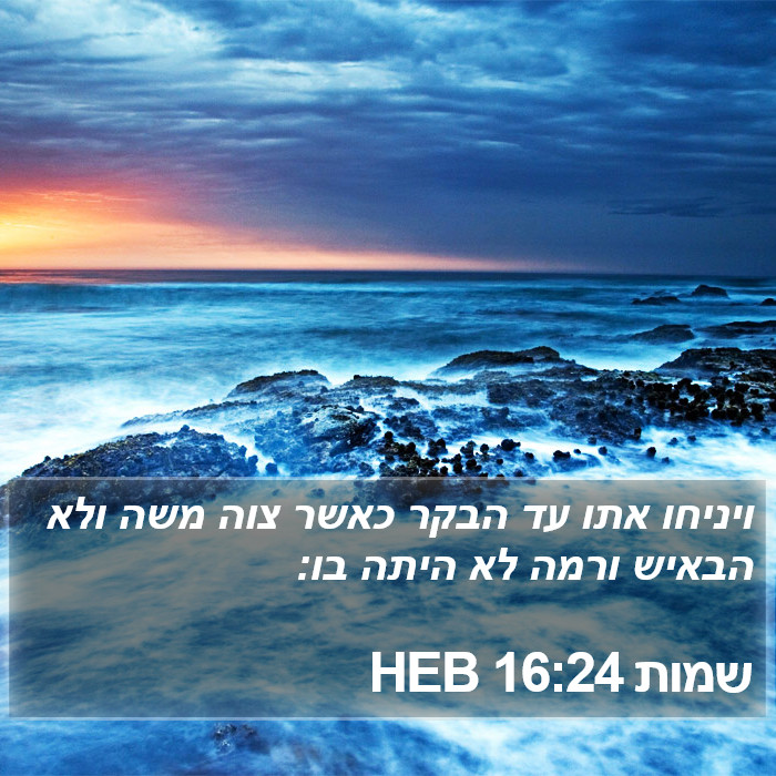 שמות 16:24 HEB Bible Study