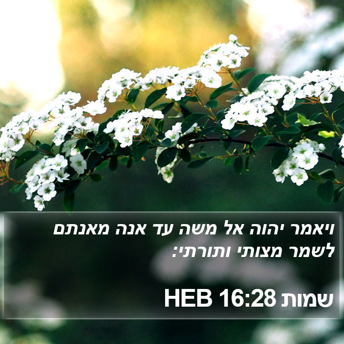 שמות 16:28 HEB Bible Study
