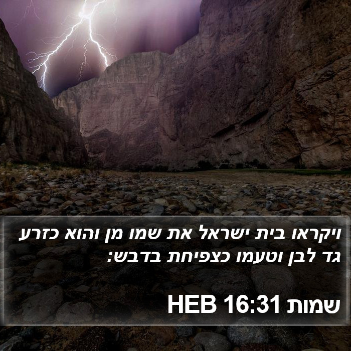 שמות 16:31 HEB Bible Study