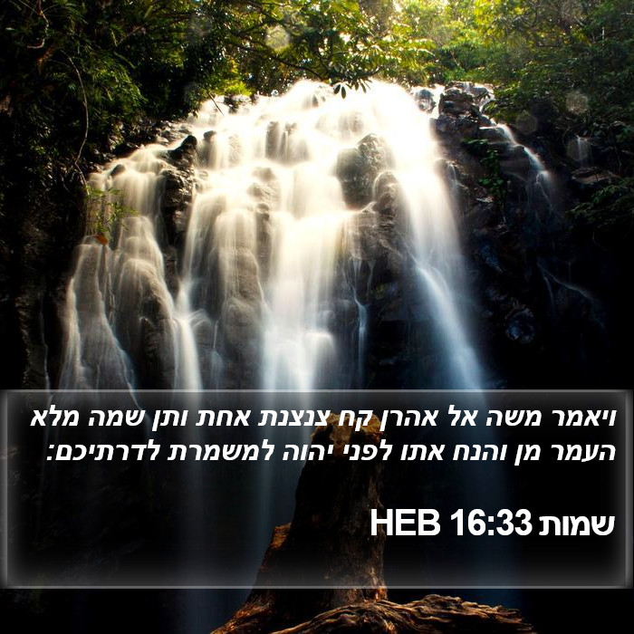 שמות 16:33 HEB Bible Study