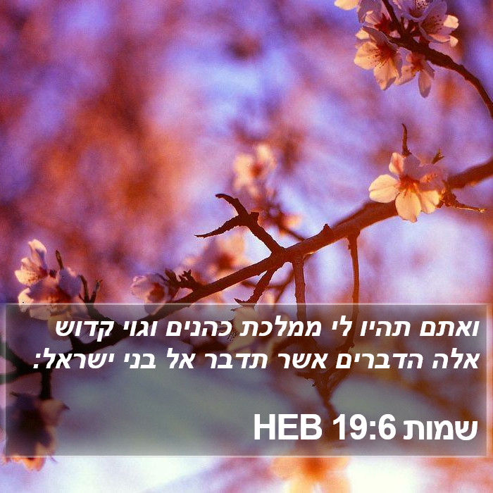 שמות 19:6 HEB Bible Study