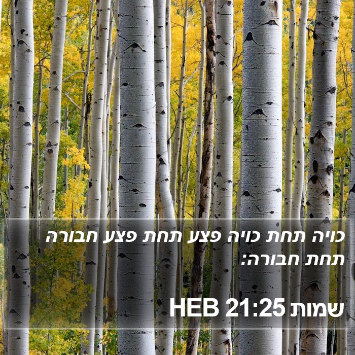 שמות 21:25 HEB Bible Study