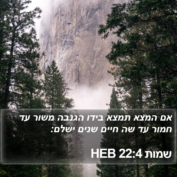 שמות 22:4 HEB Bible Study
