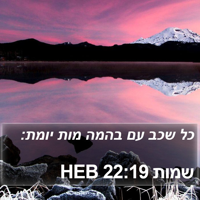 שמות 22:19 HEB Bible Study