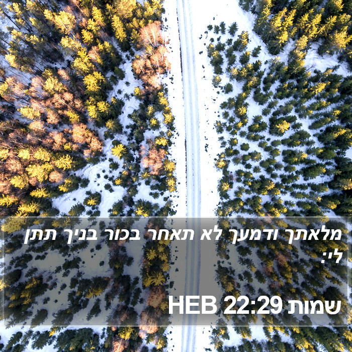 שמות 22:29 HEB Bible Study