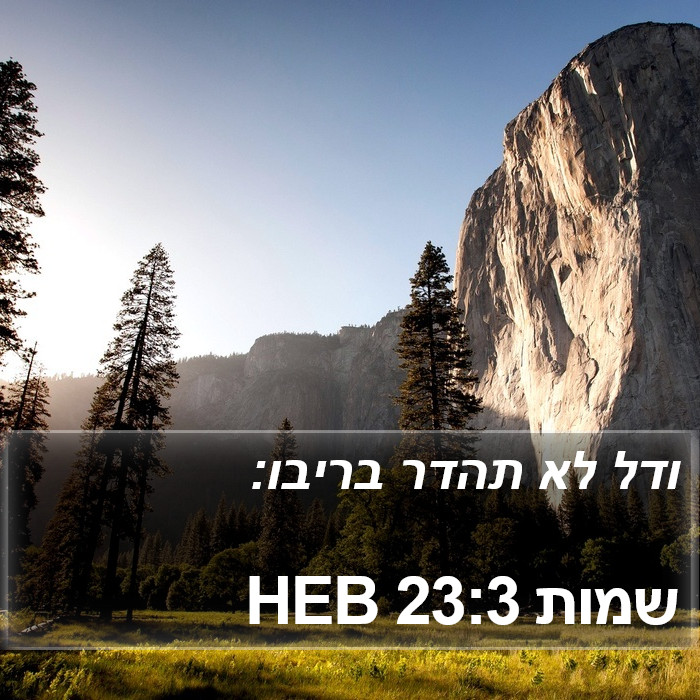 שמות 23:3 HEB Bible Study