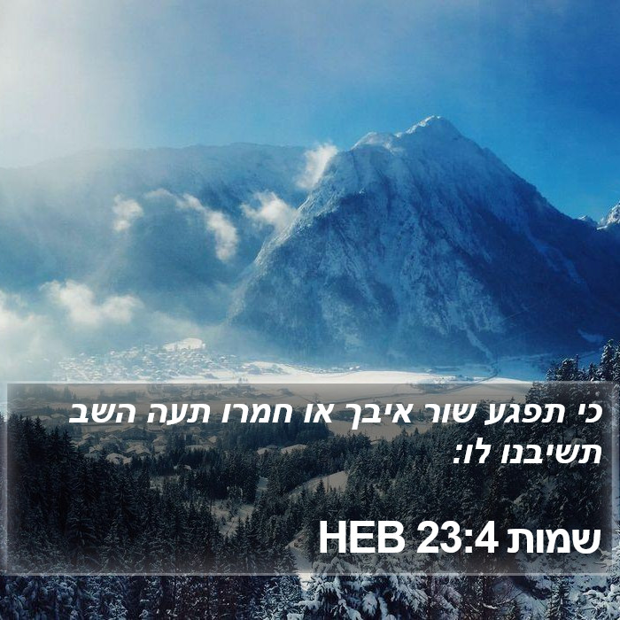 שמות 23:4 HEB Bible Study