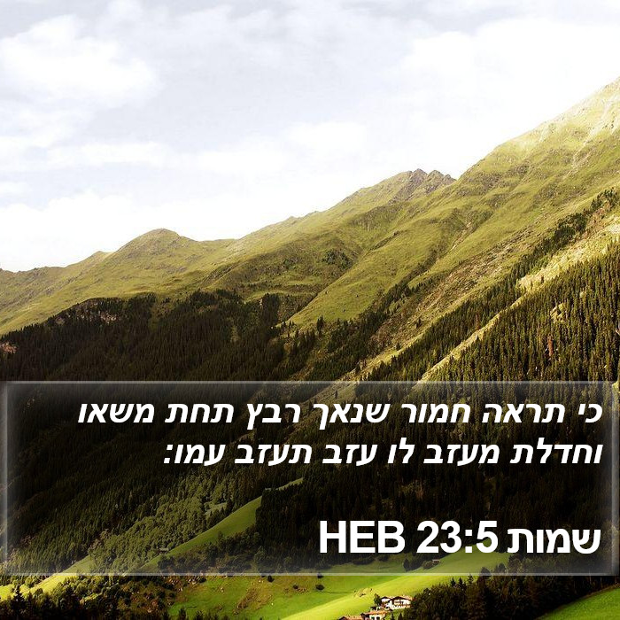 שמות 23:5 HEB Bible Study