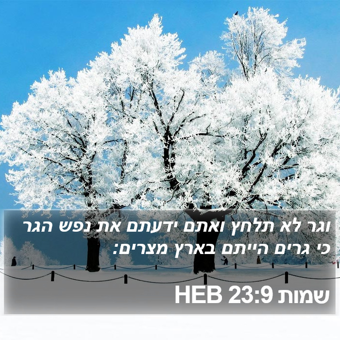 שמות 23:9 HEB Bible Study