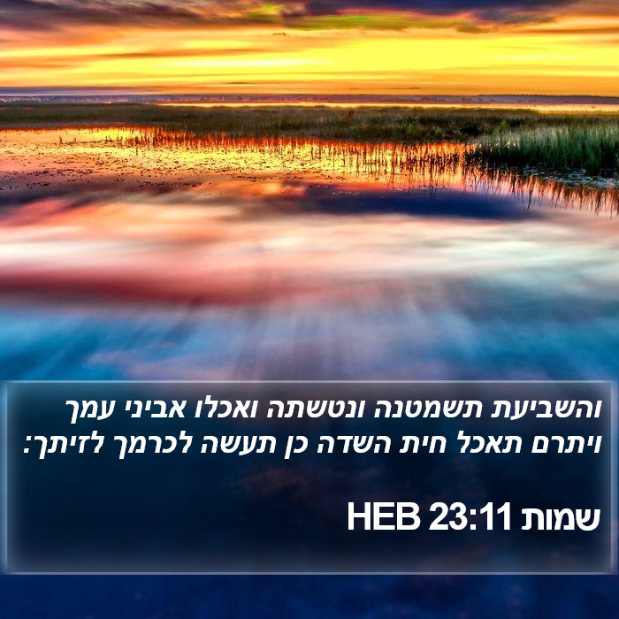 שמות 23:11 HEB Bible Study