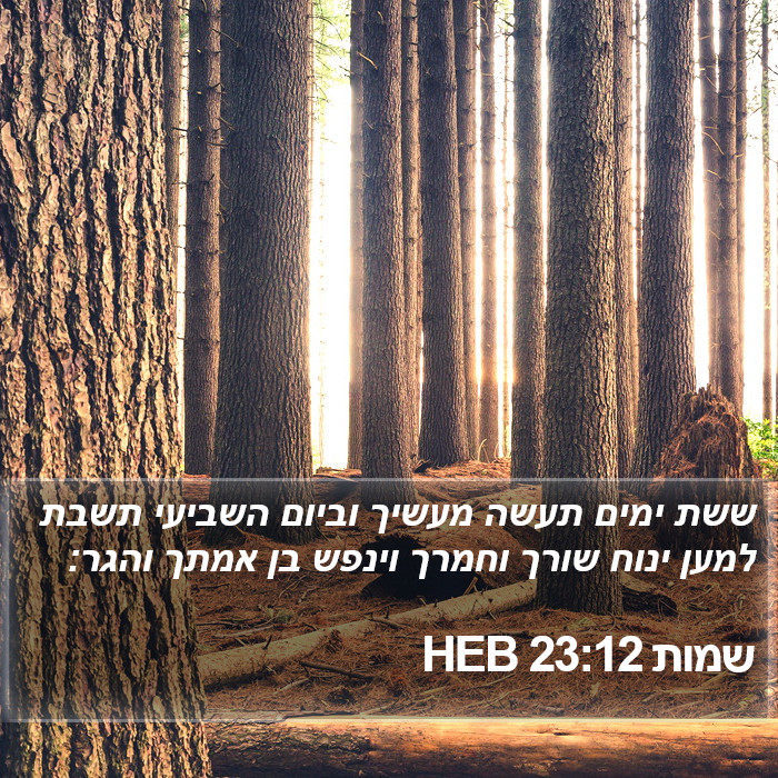 שמות 23:12 HEB Bible Study