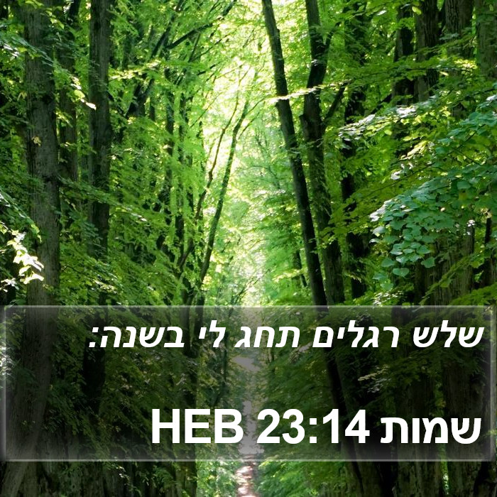 שמות 23:14 HEB Bible Study