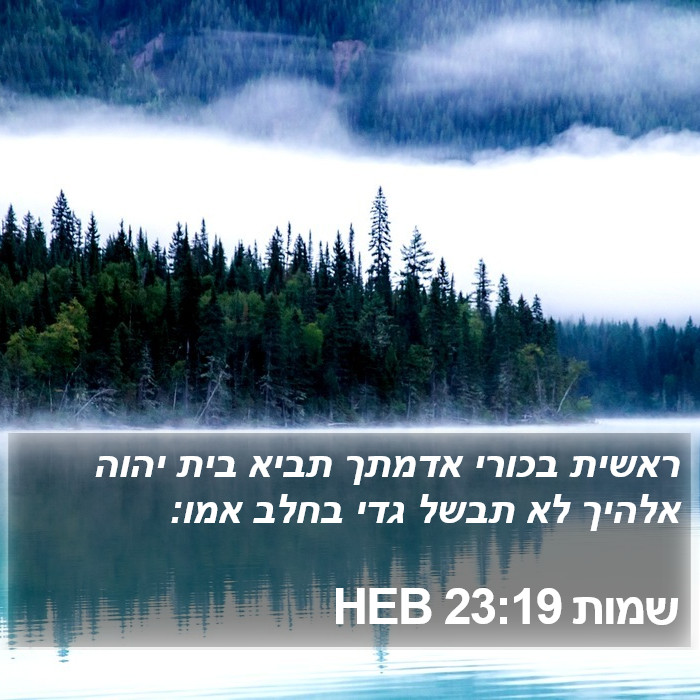 שמות 23:19 HEB Bible Study