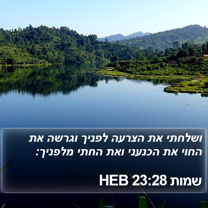 שמות 23:28 HEB Bible Study