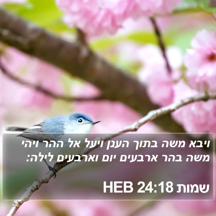 שמות 24:18 HEB Bible Study