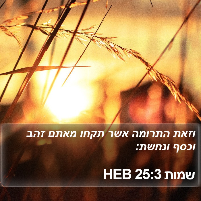 שמות 25:3 HEB Bible Study