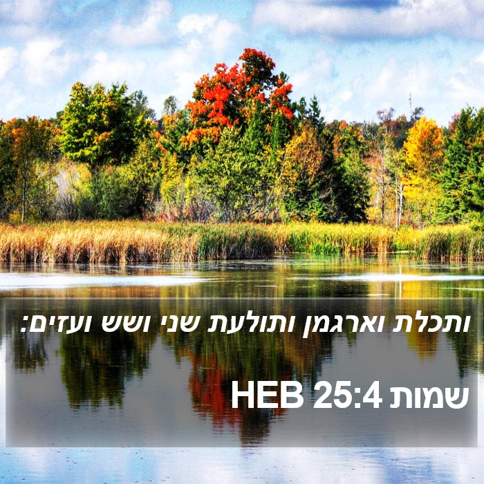 שמות 25:4 HEB Bible Study